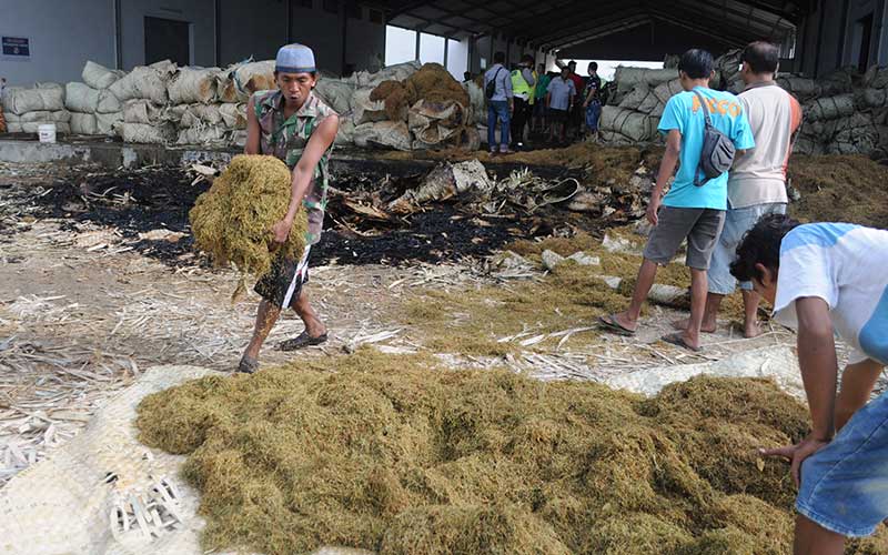  Kebakaran Gudang Tembakau di Jawa Timur Disebabkan Putung Rokok