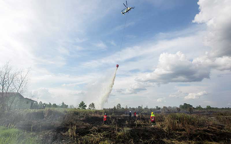  BNPB Terjunkan Helikopter Untuk Memadamkan Kebakaran Lahan Gambut di Kalimantan