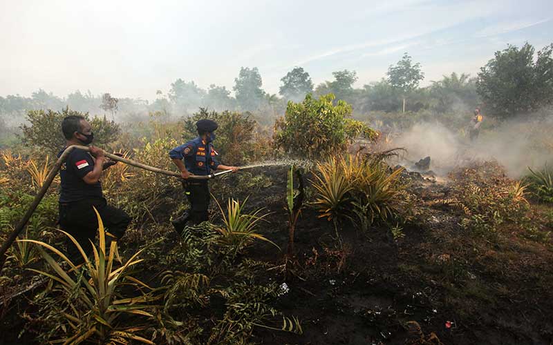  Petugas Gabungan Berhasil Padamkan Karhutla Seluas 1,5 Hektare di Kalimantan