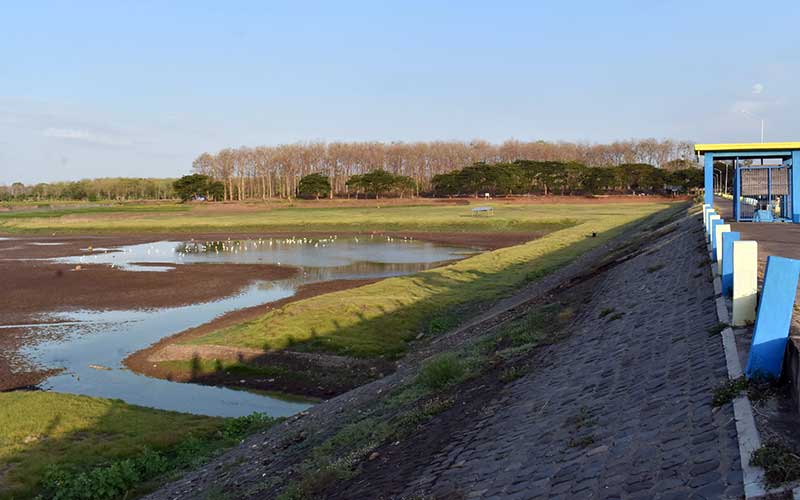  Waduk Saradan di Jawa Timur Mulai Alamai Kekeringan