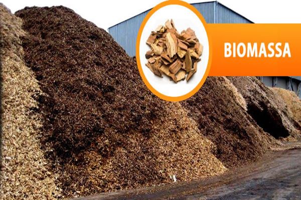 Ini Potensi Peningkatan Bauran EBT dari Co-Firing Biomassa