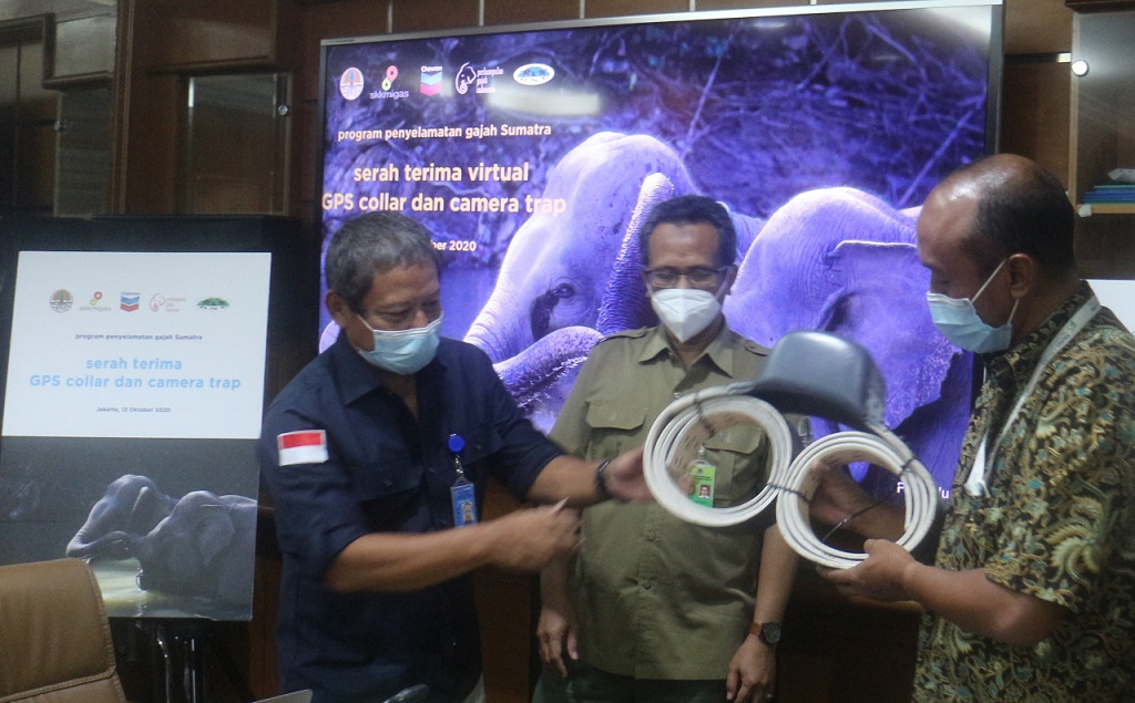  Manfaatkan Teknologi Satelit untuk Lindungi Gajah Sumatra, PT CPI Serahkan Bantuan GPS Collar dan Camera Trap