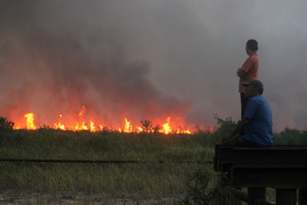 Titik api pemicu kebakaran hutan dan lahan./Ilustrasi