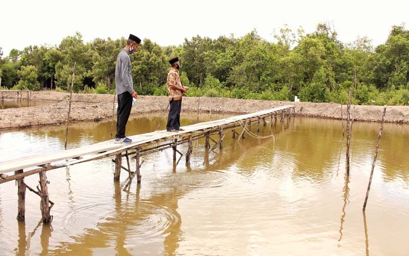  Usaha Budi daya Laut Terbantu Program Sekawan Logik BPBL Batam
