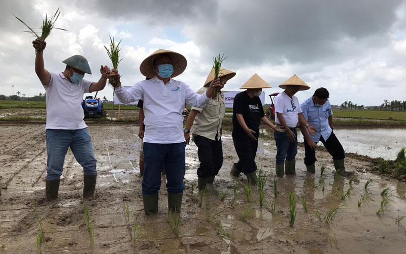  Intani Bangun Korporasi Petani 1.000 Hektare di Sukabumi