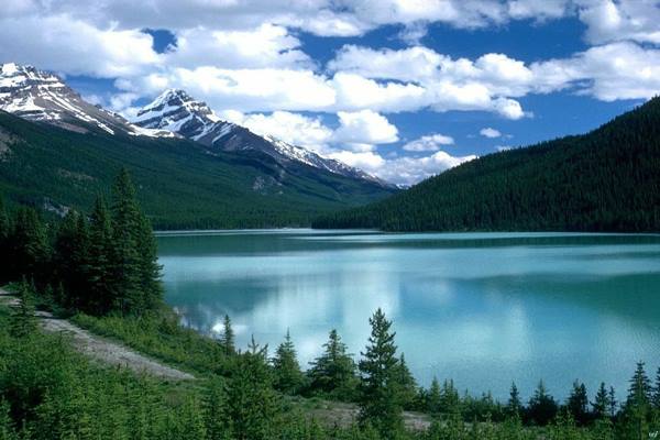 Alaska Diguncang Gempa Magnitudo 7,5, Ada Peringatan Tsunami