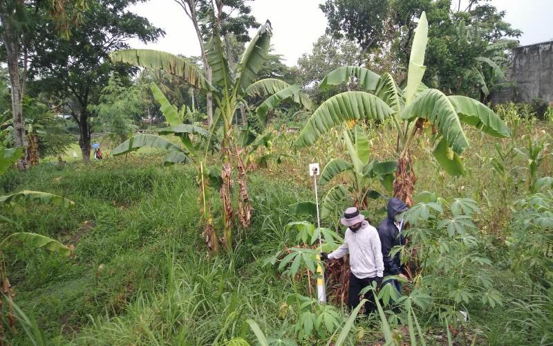  Pengukuran Lahan Tol Yogyakarta-Solo Bergulir, Warga Bingung Cari Lahan Pengganti