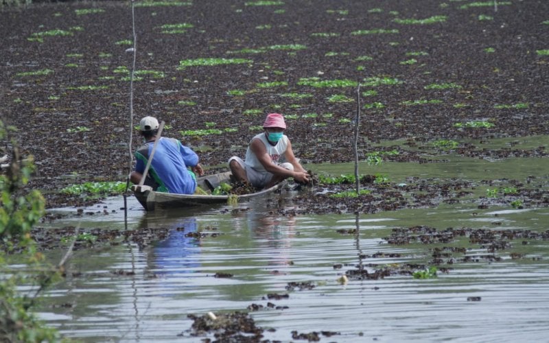  Realisasi Program Padat Karya Tunai PUPR Mencapai 84 Persen