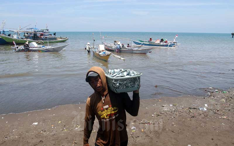  KPP Susun Daftar Penyakit Ikan Berbahaya Untuk Jaga Kualitas Ekspor Indonesia