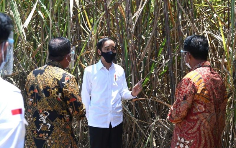  Siap Serap 15.000 Tenaga Kerja, Jokowi Apresiasi Pabrik Gula di Bombana