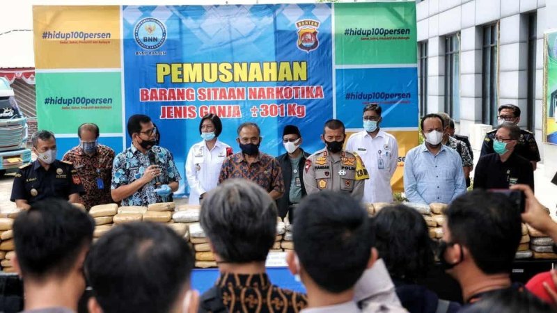 BNNP Banten Musnahkan Ganja Seberat 301 Kilogram