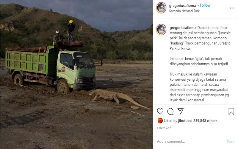  Viral Foto Komodo Hadang Truk, Tagar #SaveKomodo Trending Topic di Twitter 