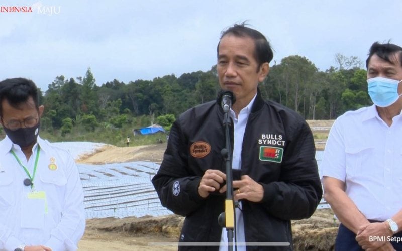  Jokowi Targetkan Hasil Food Estate di Sumut Terlihat dalam 2 Bulan