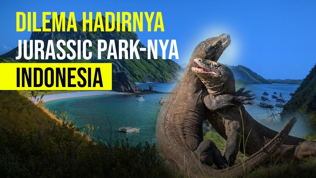  Viral! Proyek Geopark Komodo Ditolak