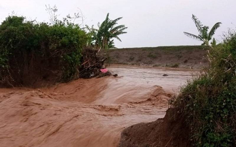  Tanggul Jebol, Padi Siap Panen di Pati Terendam Air
