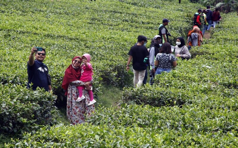 Rapid Test Wisatawan di Puncak Bogor, 69 Orang Reaktif