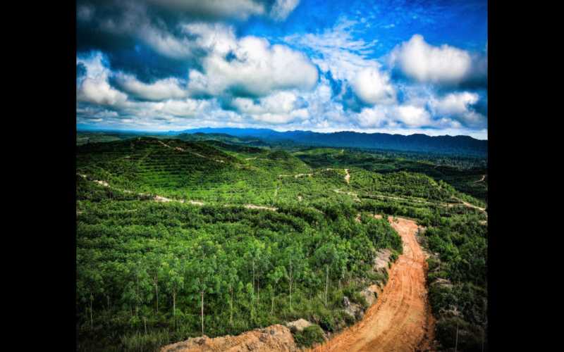  Bappenas Dukung Festival Kabupaten Lestari di Kalimantan Barat