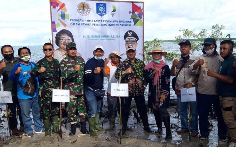  Masyarakat Belitung Timur Respons Positif Program Padat Karya Penanaman Mangrove 