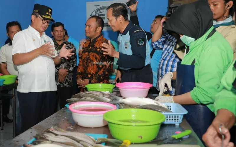  Kemenperin Akui Kinerja Industri Pengolahan Ikan Kurang Greget