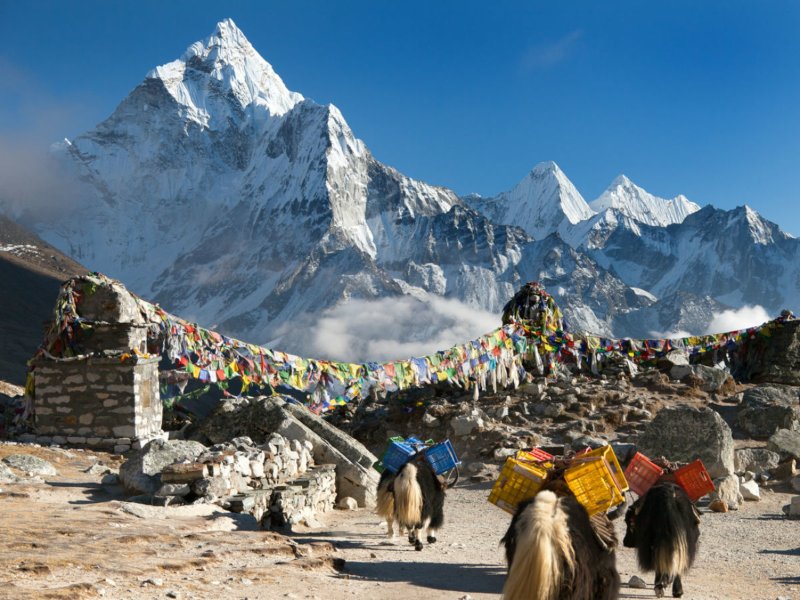 Nepal sudah membuka untuk pendakian gunung./Times of  India
