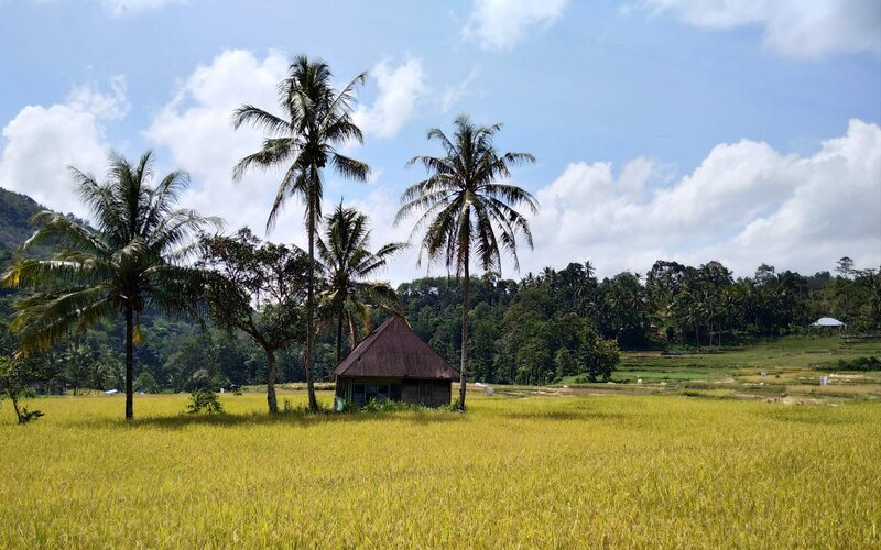  Kadin Menilai Pertanian Bisa Memicu Kebangkitan Ekonomi Sumbar