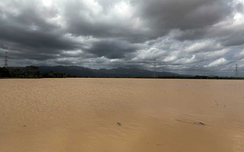 Cuaca Ekstrem Membuat Sejumlah Wilayah di Jawa Tengah Diterpa Banjir dan Tanah Longsor
