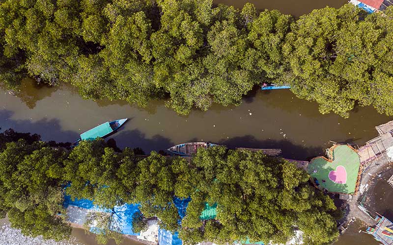  Hutan Mangrove Sungai Jingkem di Bekasi Menjadi Destinasi Wisata Baru