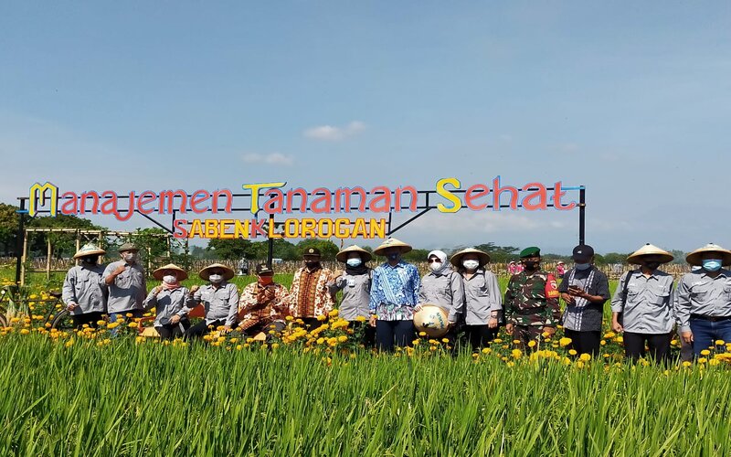  Petani Jatim Didorong Terapkan Manajemen Tanaman Sehat