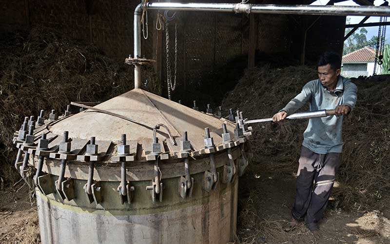  Produksi Minyak Akar Wangi Indsutri Rumahan di Garut