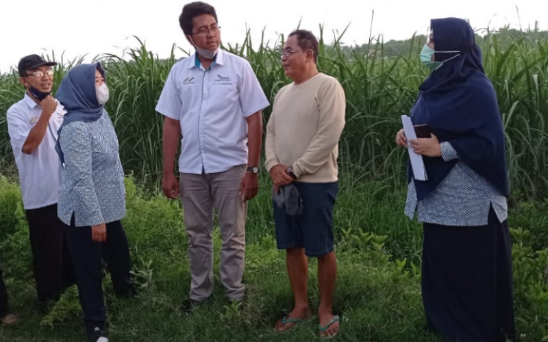  PTPN XI Fasilitasi Pinjaman Kemitraan Petani Tebu Rp26,4 Miliar