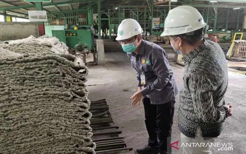  Harga Karet di Kalbar Rp18.700 per Kilogram, Permintaan Internasional Naik