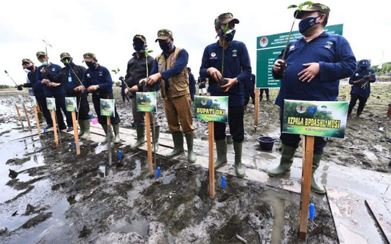  Penanaman Mangrove Bantu Warga Pesisir OKI