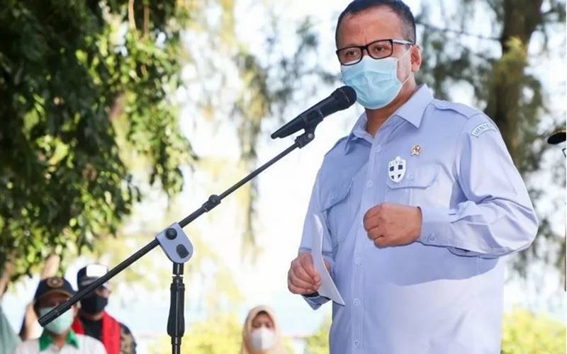  Menteri KKP Edhy Prabowo Ditangkap, Ketua KPK Bilang Begini