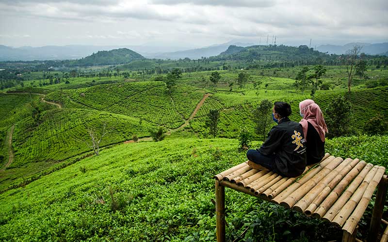  Pemerintah Jawa Barat bersama PTPN VIII Kembangkan Kawasan Ciater Agrotourism Menjadi Tempat Pariwisata