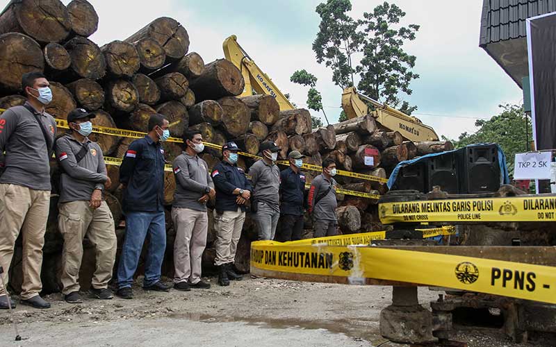 Operasi Gabungan di Riau Berhasil Mengamankan Kayu Ilegal