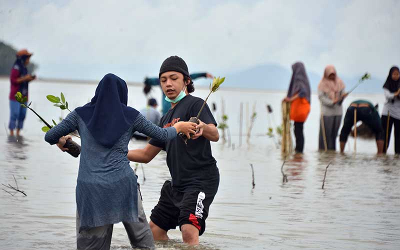  Aksi Tanam Bebit Mangrove di Kawasan Pesisir Desa Lam Badeuk Aceh