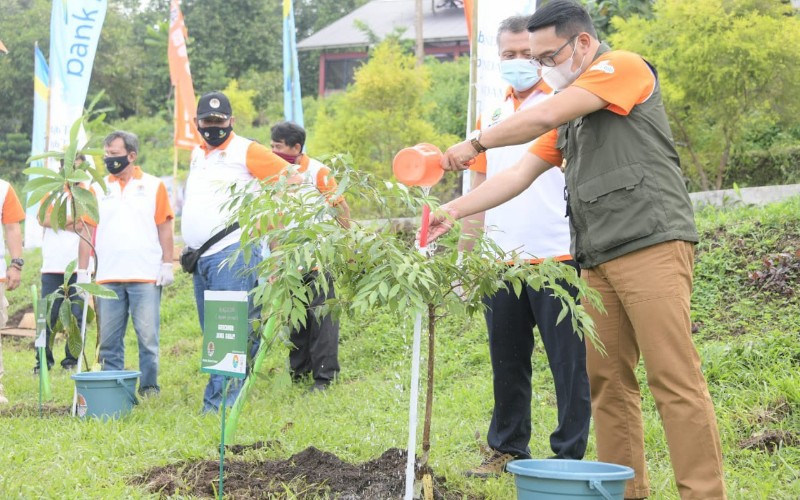  Gerakan Tanam dan Pelihara 50 Juta Pohon Diyakini Terealisasi Akhir 2021