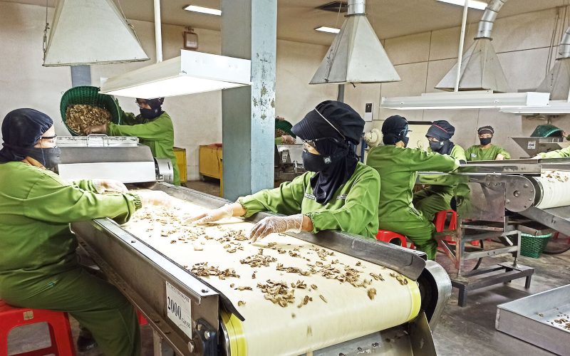  Sehatkan Masyarakat, Sri Mulyani Dorong Industri Jamu Manfaatkan Peluang 