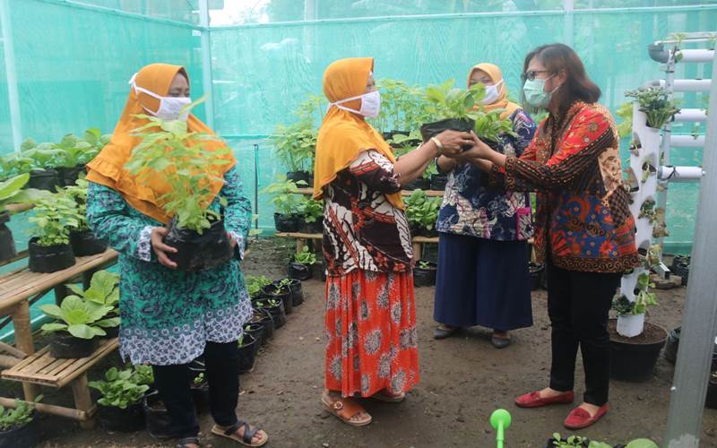  Pemberdayaan Ekonomi Kreatif Urban Farming