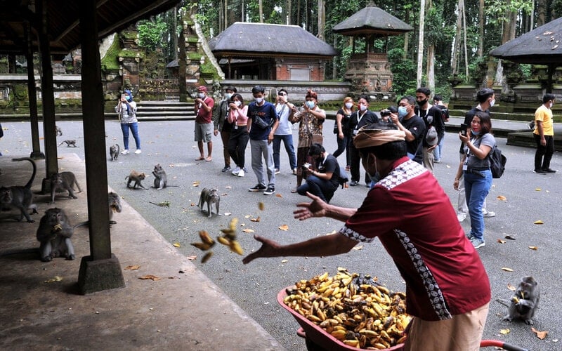  Gelombang PHK di Bali pada Oktober Melandai