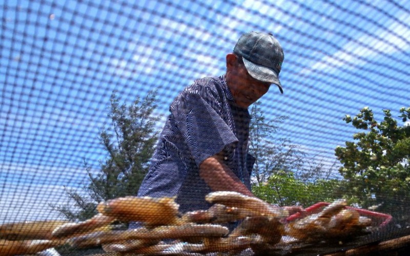  Kanwil DJPb Sumbar Pantau Dampak Ekonomi Daerah Adanya Subsidi Bunga