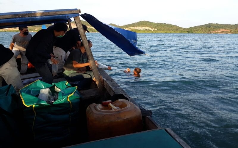  Benih Lobster Sitaan Senilai Rp4,3 Miliar Dilepasliarkan di Perairan Batam