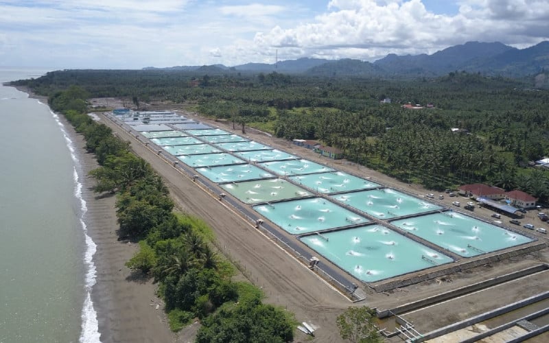  LAYANAN PLN DI BEKASI : Pasokan \'Terang\' di Tambak Udang