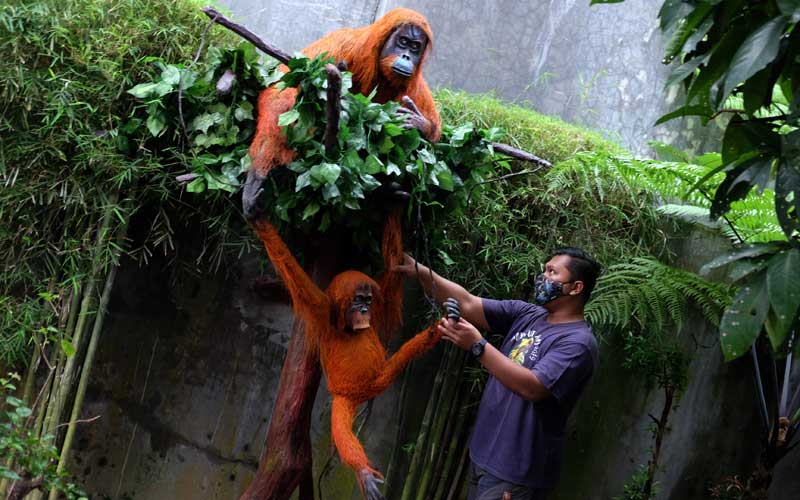  Pembuatan Patung Orangutan di Medan Untuk Edukasi Warga Agar Melindungi dan Melestarikan Orangutan