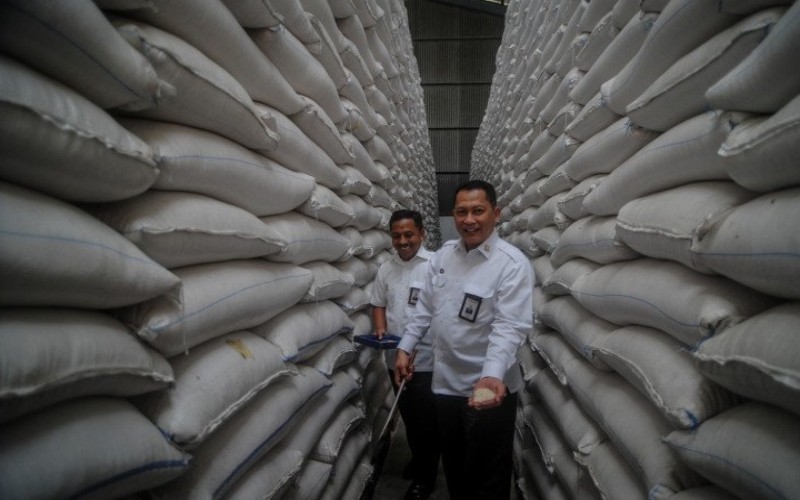  Diversifikasi Pangan, Bulog Bikin Beras dari Singkong