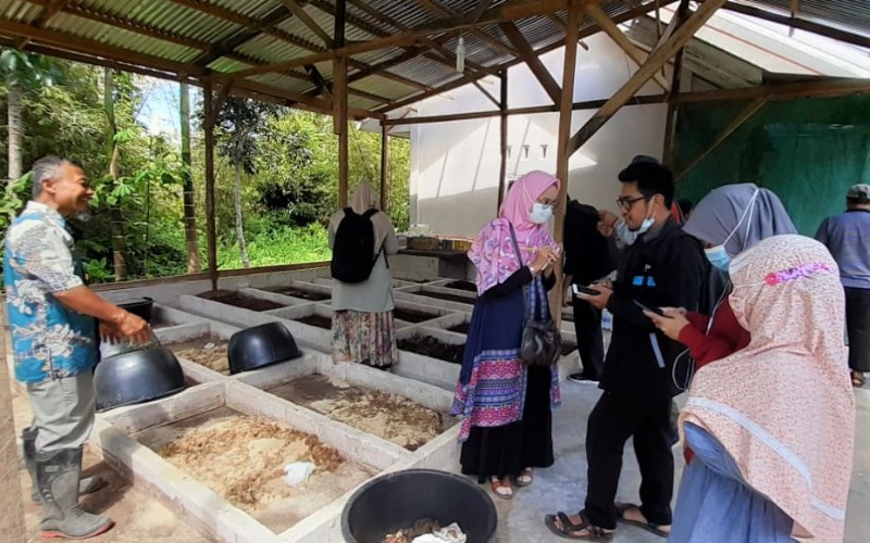  Dosen Biologi Unand: Maggot Punya Banyak Manfaat Terhadap Usaha Peternakan