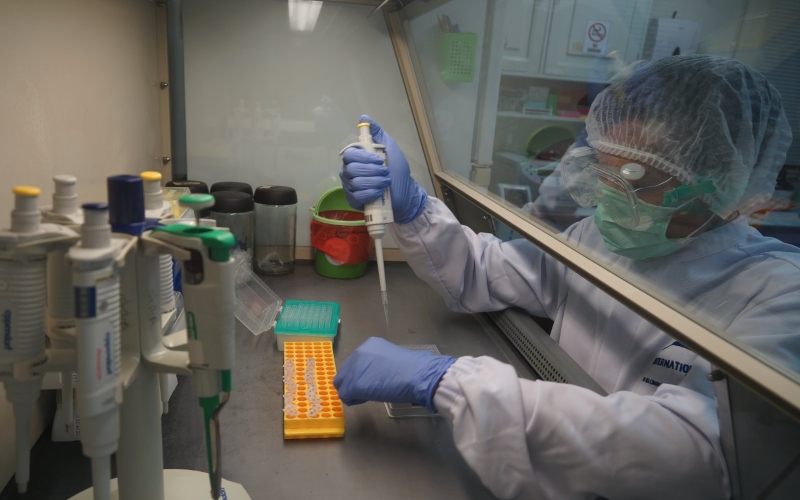 Di Bawah Standar WHO, Pandemic Talks Bikin Petisi Desak Kapasitas Testing Covid-19 Ditingkatkan