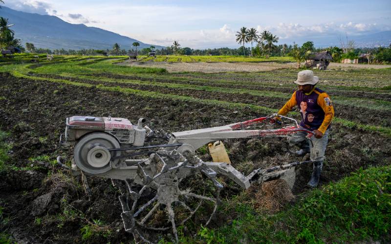  Jelang Akhir 2020, Penyaluran KUR di Sulteng Capai Rp1,5 Triliun
