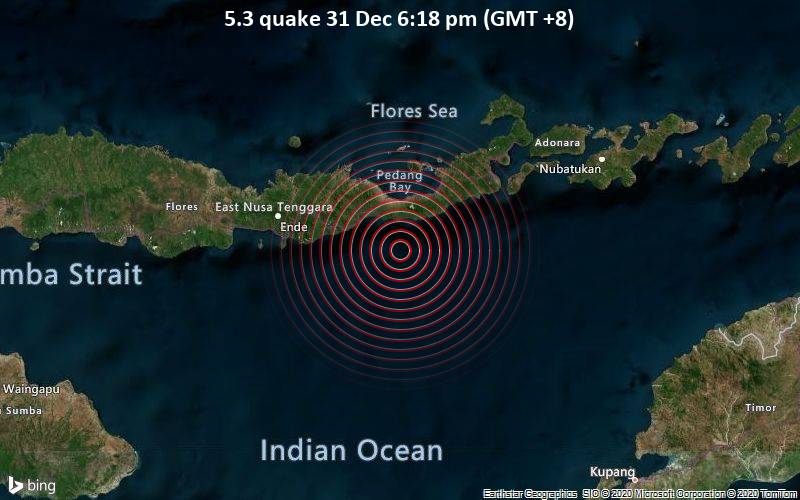  Gempa Bumi Bermagnitudo 5,3 Terjadi di Dekat Maumere