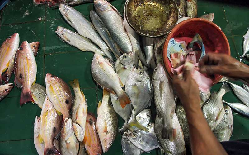  Tangkapan Nelayan Minim, Harga Ikan Segar Melonjak Hingga 80 Persen